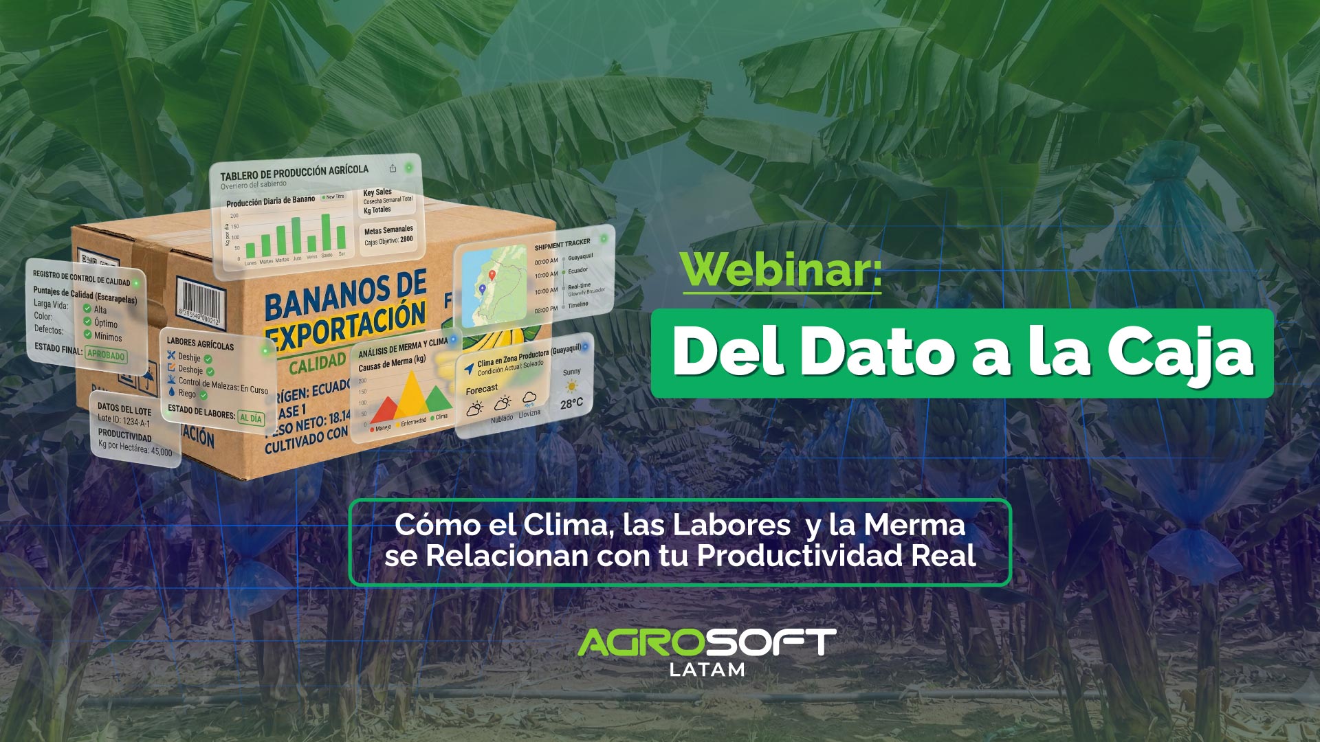 Del Campo al Dato II